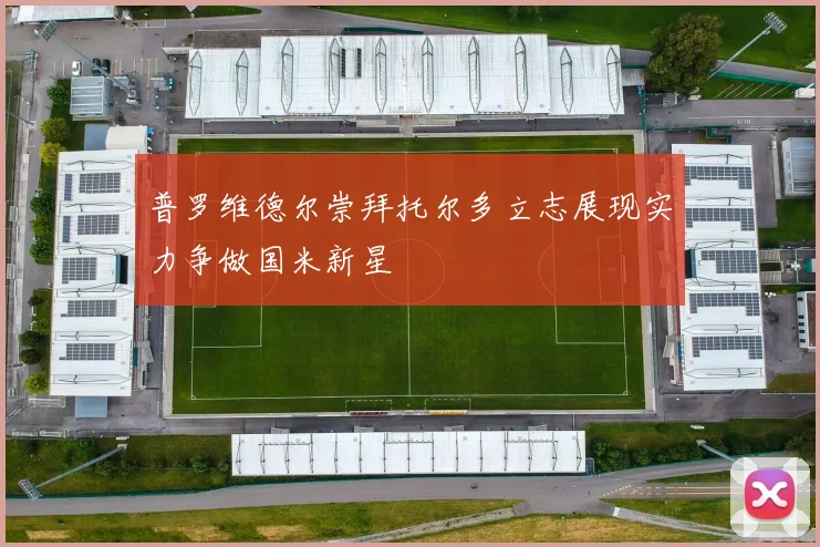 普罗维德尔崇拜托尔多立志展现实力争做国米新星